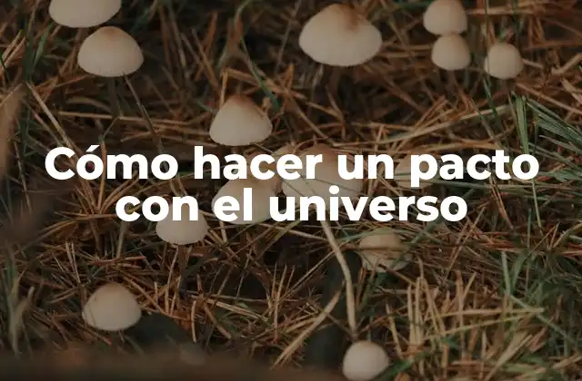 Cómo Hacer un Pacto con el Universo