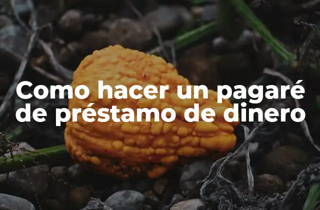 Como Hacer un Pagaré de Préstamo de Dinero