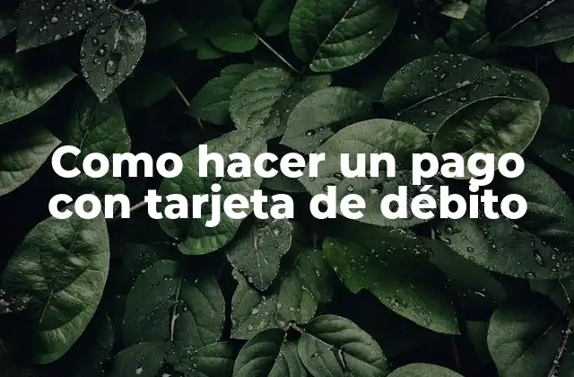 Como Hacer un Pago con Tarjeta de Débito