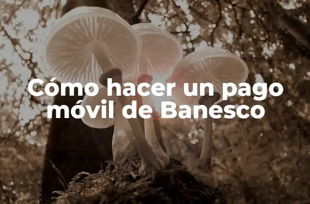 Cómo Hacer un Pago Móvil de Banesco