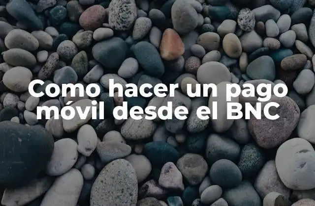 Como Hacer un Pago Móvil desde el Bnc