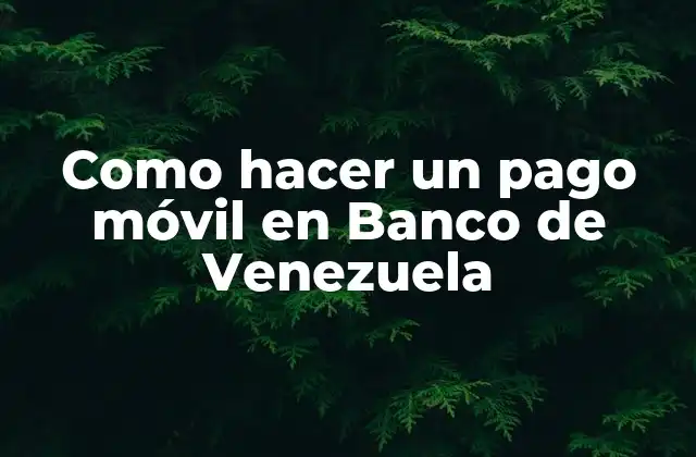 Como Hacer un Pago Móvil en Banco de Venezuela