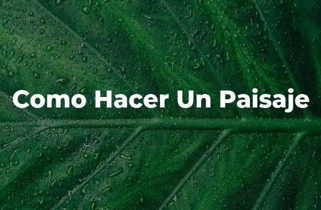 Como Hacer un Paisaje 2 Paisaje - Definición y Funcionalidad