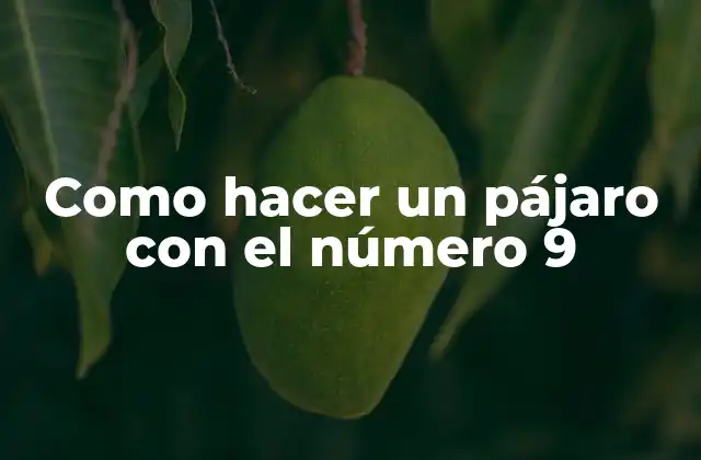Como Hacer un Pájaro con el Número 9
