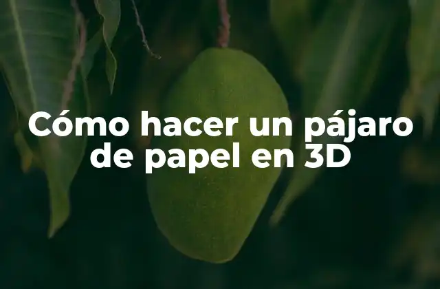 Cómo Hacer un Pájaro de Papel en 3d