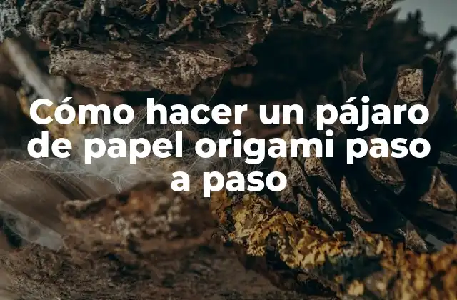 Cómo Hacer un Pájaro de Papel Origami Paso a Paso