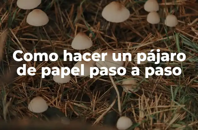Como Hacer un Pájaro de Papel Paso a Paso