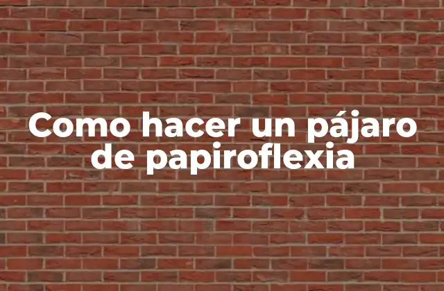 Como Hacer un Pájaro de Papiroflexia