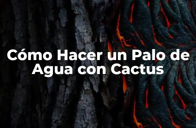 Cómo Hacer un Palo de Agua con Cactus