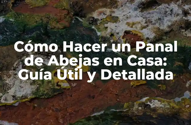 Cómo Hacer un Panal de Abejas en Casa: Guía Útil y Detallada