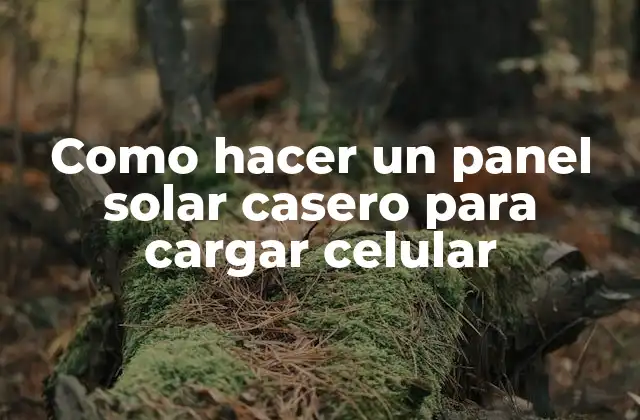 Como Hacer un Panel Solar Casero para Cargar Celular 2 ¿Qué es un panel solar casero y cómo funciona?