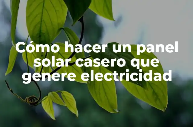 Cómo Hacer un Panel Solar Casero que Genere Electricidad