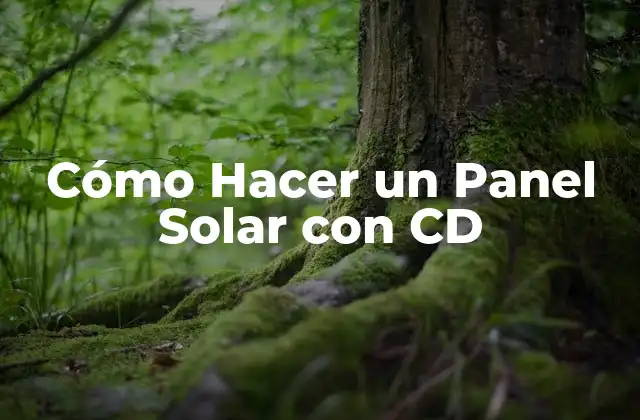 ¿Qué es un Panel Solar con CD?