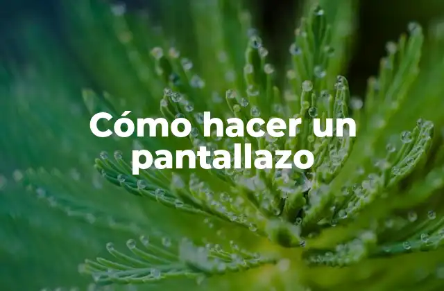 ¿Qué es un pantallazo y para qué sirve?