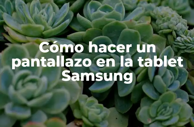Cómo Hacer un Pantallazo en la Tablet Samsung