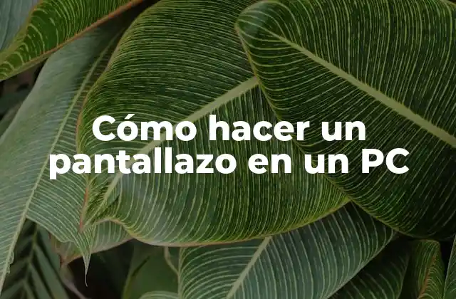 Cómo Hacer un Pantallazo en un Pc