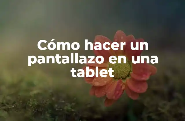 Cómo Hacer un Pantallazo en una Tablet