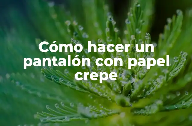 Cómo Hacer un Pantalón con Papel Crepe