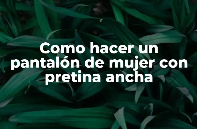 Como Hacer un Pantalón de Mujer con Pretina Ancha