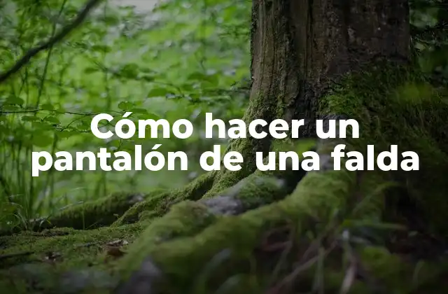 Cómo Hacer un Pantalón de una Falda