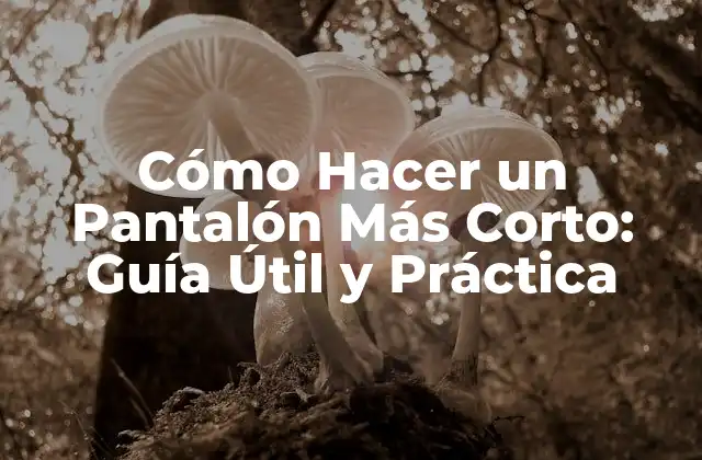 Cómo Hacer un Pantalón Más Corto: Guía Útil y Práctica 2 ¿Por qué Acortar un Pantalón es una Buena Idea?