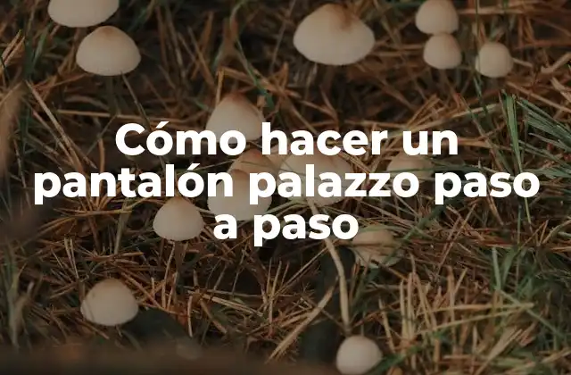 Cómo Hacer un Pantalón Palazzo Paso a Paso 2 ¿Qué es un pantalón palazzo?