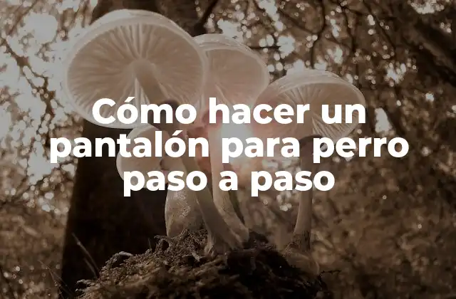 Cómo Hacer un Pantalón para Perro Paso a Paso
