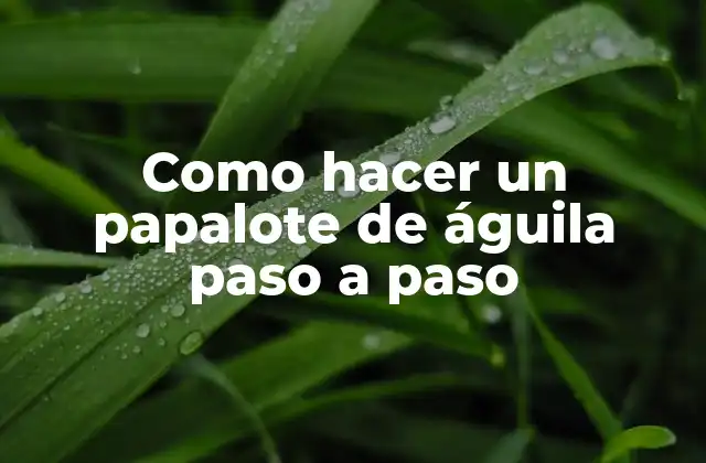 Como Hacer un Papalote de Águila Paso a Paso
