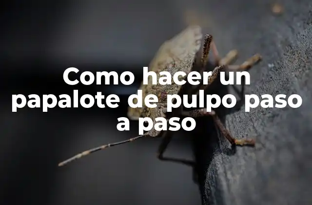 Como Hacer un Papalote de Pulpo Paso a Paso