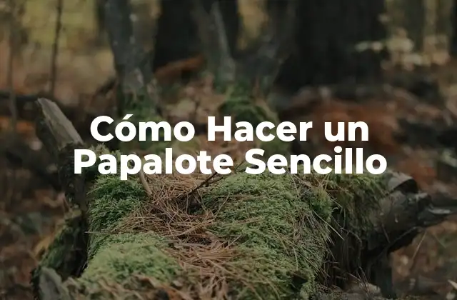 Cómo Hacer un Papalote Sencillo