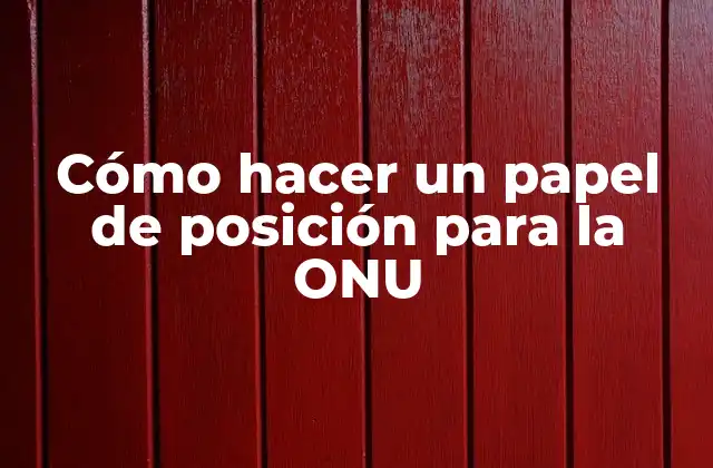 Cómo Hacer un Papel de Posición para la Onu
