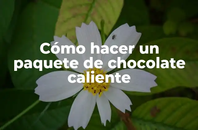 Cómo Hacer un Paquete de Chocolate Caliente