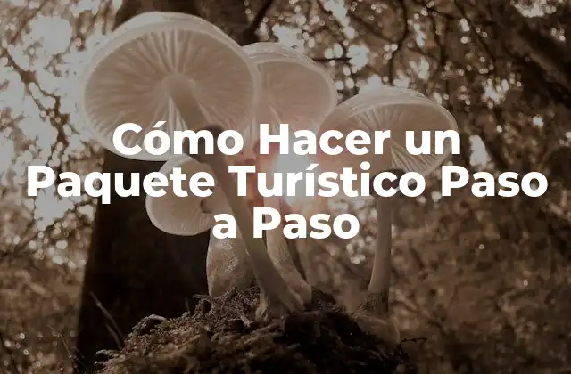 Cómo Hacer un Paquete Turístico Paso a Paso