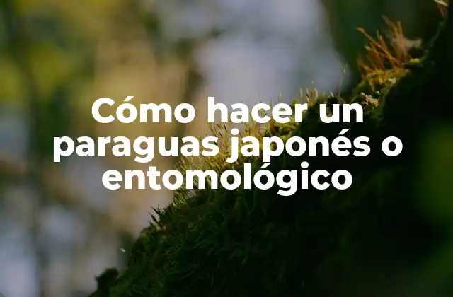 Cómo Hacer un Paraguas Japonés o Entomológico