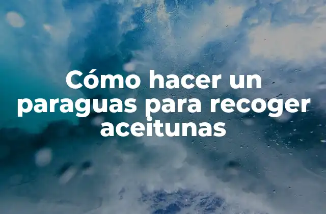 Cómo Hacer un Paraguas para Recoger Aceitunas
