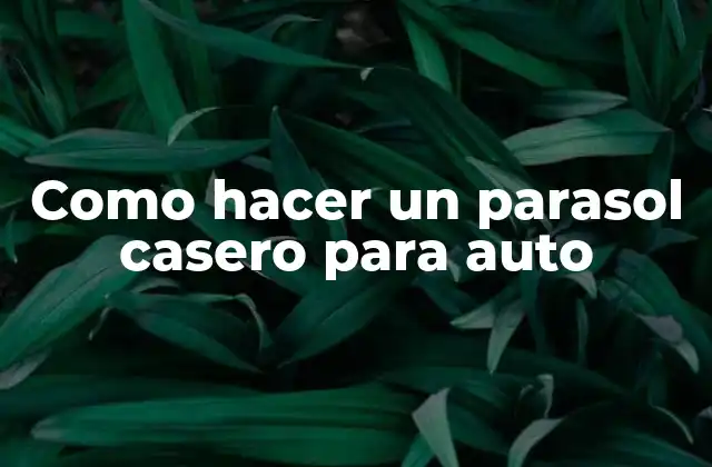 Como Hacer un Parasol Casero para Auto