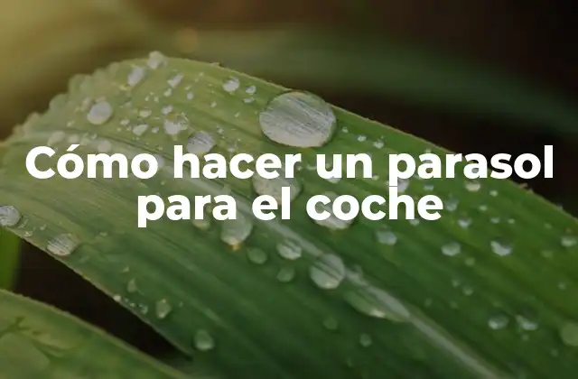 Cómo Hacer un Parasol para el Coche