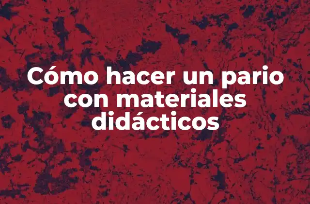 Cómo Hacer un Pario con Materiales Didácticos