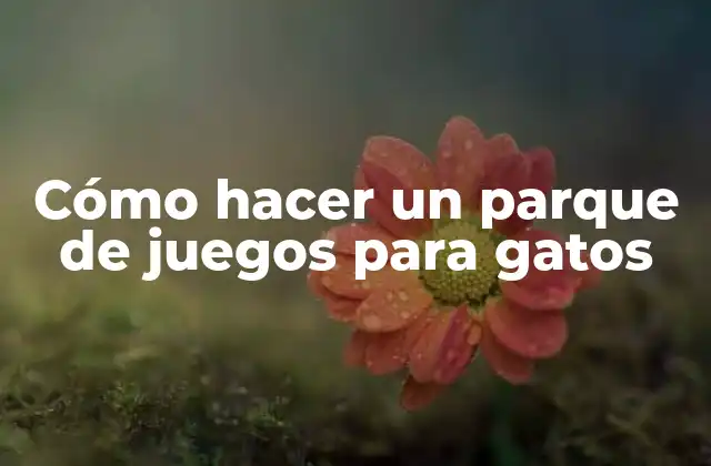 Cómo Hacer un Parque de Juegos para Gatos