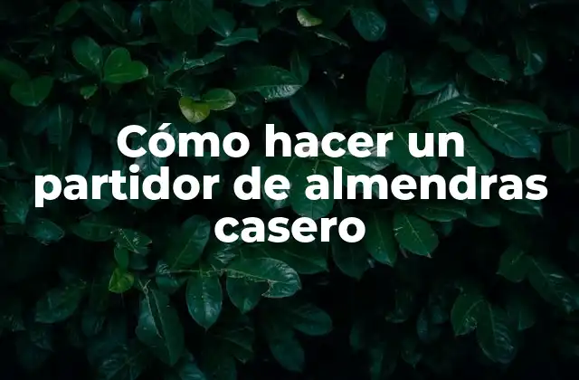 ¿Qué es un partidor de almendras casero y para qué sirve?