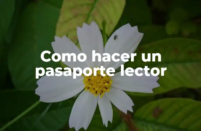 Como Hacer un Pasaporte Lector