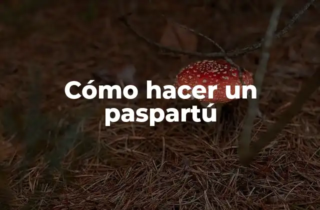 Cómo Hacer un Paspartú
