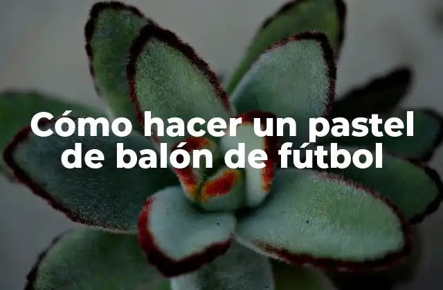Cómo Hacer un Pastel de Balón de Fútbol