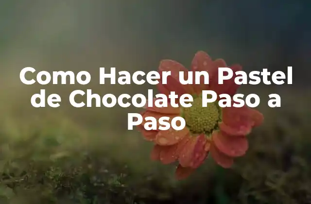 Como Hacer un Pastel de Chocolate Paso a Paso