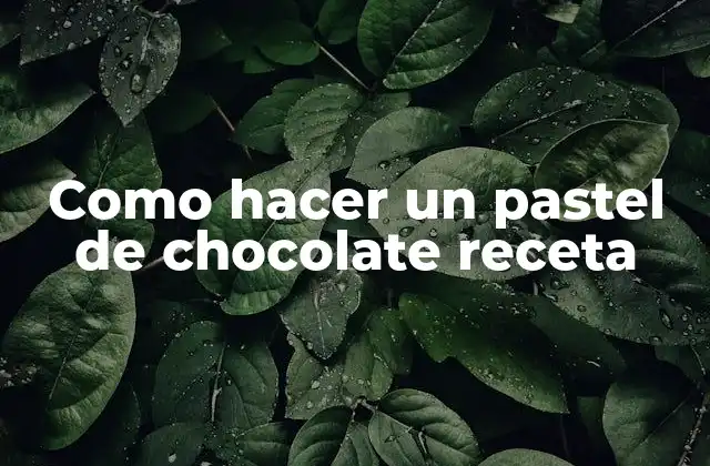 Como Hacer un Pastel de Chocolate Receta