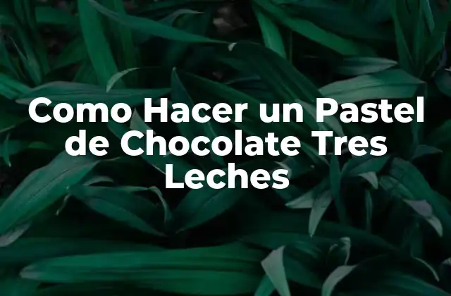 Como Hacer un Pastel de Chocolate Tres Leches