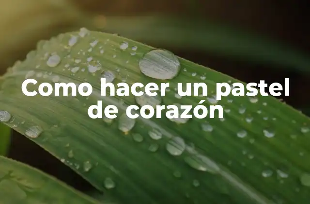 Como Hacer un Pastel de Corazón