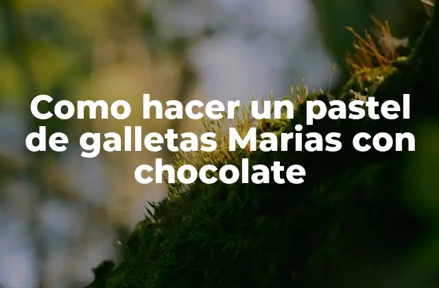 Como Hacer un Pastel de Galletas Marias con Chocolate
