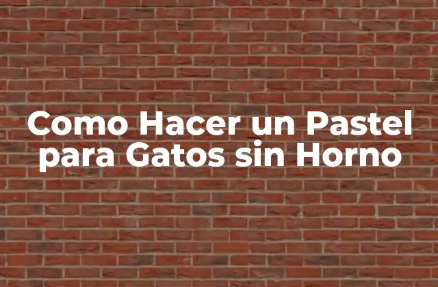 Como Hacer un Pastel para Gatos sin Horno