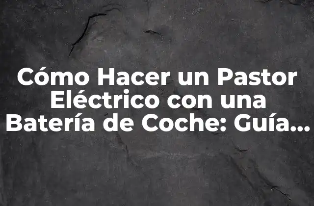 Cómo Hacer un Pastor Eléctrico con una Batería de Coche: Guía Paso a Paso
